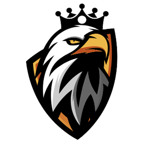 دورى مصر للهواه